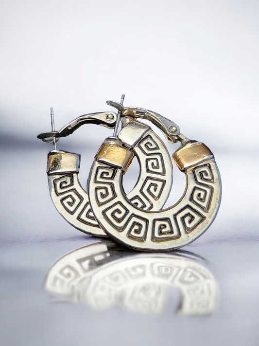 Fashion Hoops