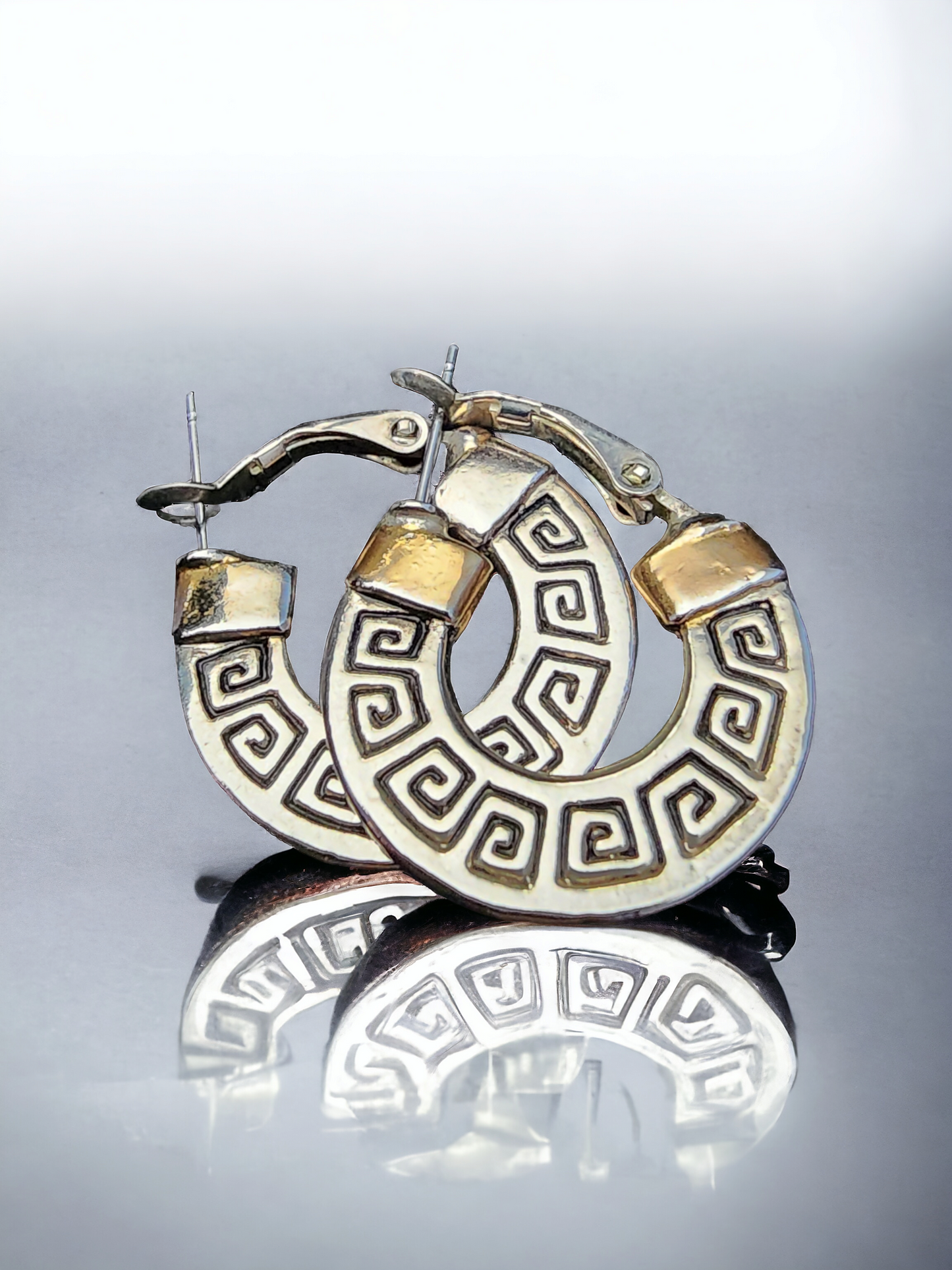 Fashion Hoops